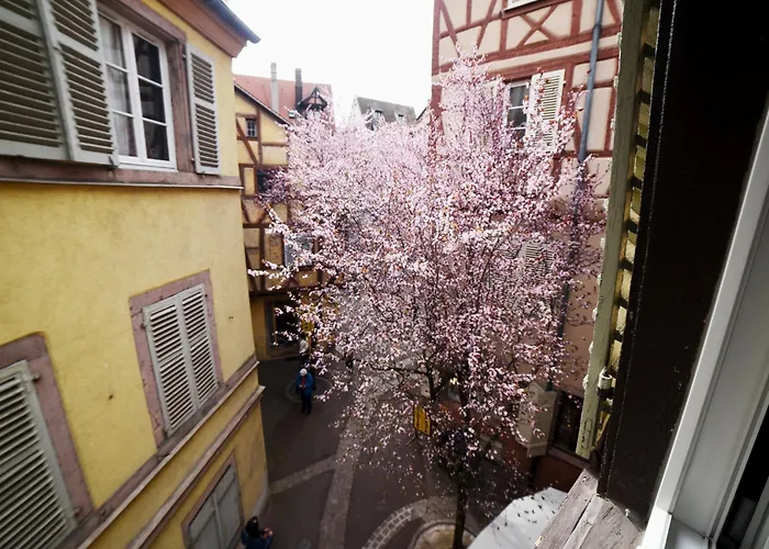 Gite Bim Maidala
